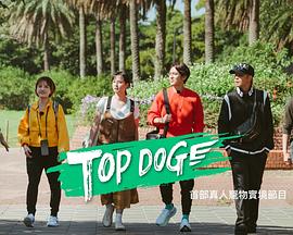 91亚色《TOP DOG》免费在线观看