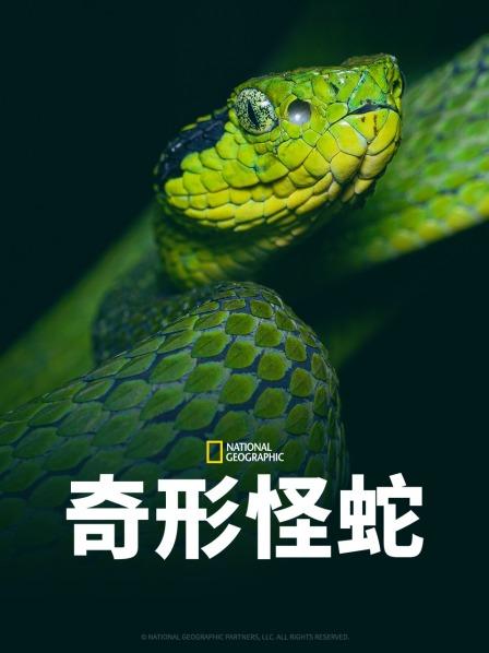 91亚色传媒《奇形怪蛇》免费在线观看